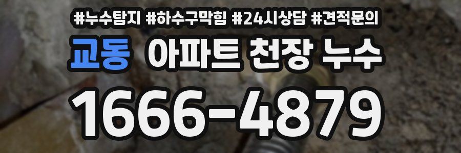 교동 아파트 천장 누수