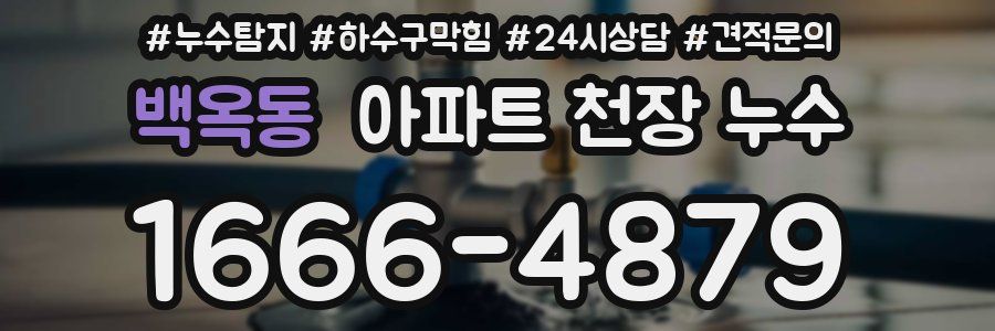 백옥동 아파트 천장 누수