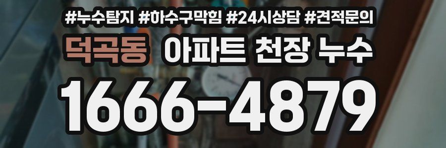 덕곡동 아파트 천장 누수
