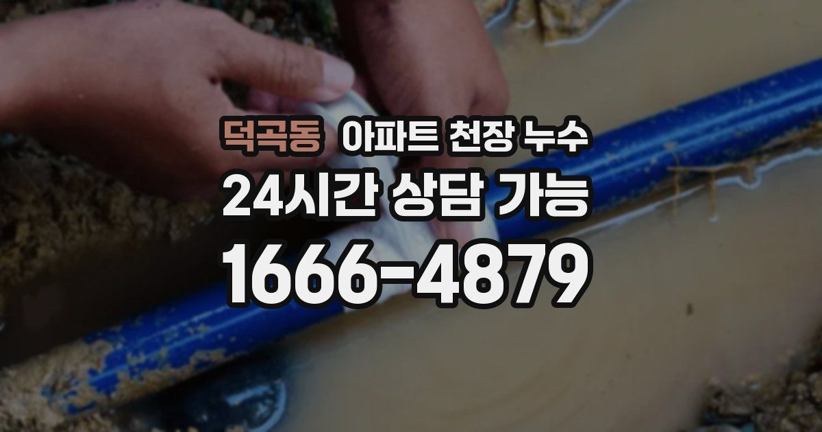 덕곡동 아파트 천장 누수