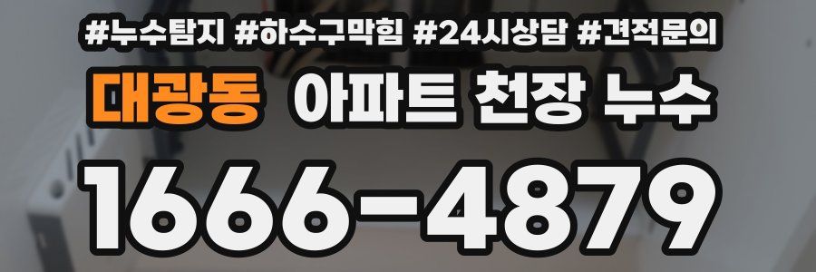 대광동 아파트 천장 누수