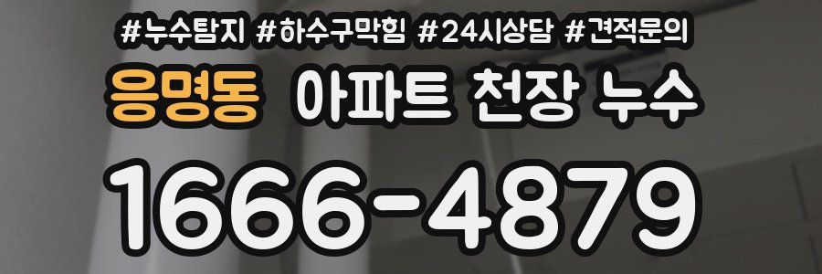 응명동 아파트 천장 누수