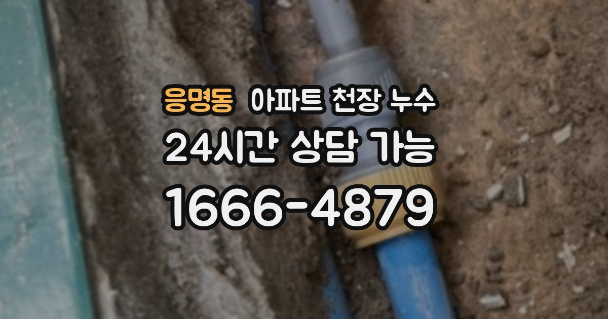 응명동 아파트 천장 누수