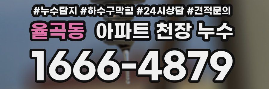 율곡동 아파트 천장 누수