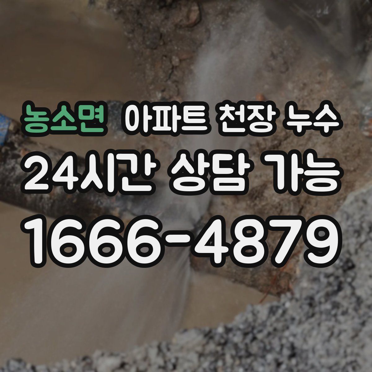 농소면 아파트 천장 누수