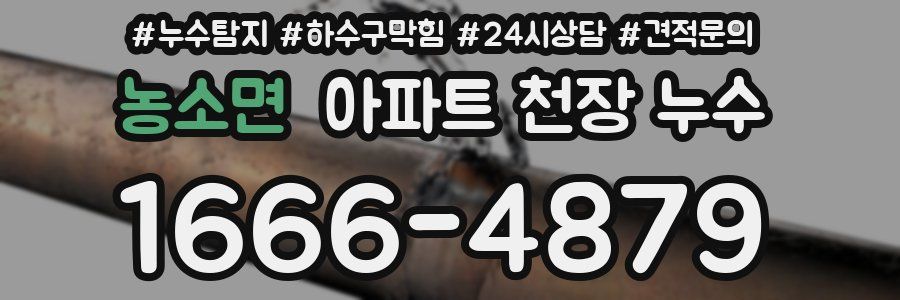 농소면 아파트 천장 누수