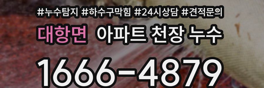 대항면 아파트 천장 누수