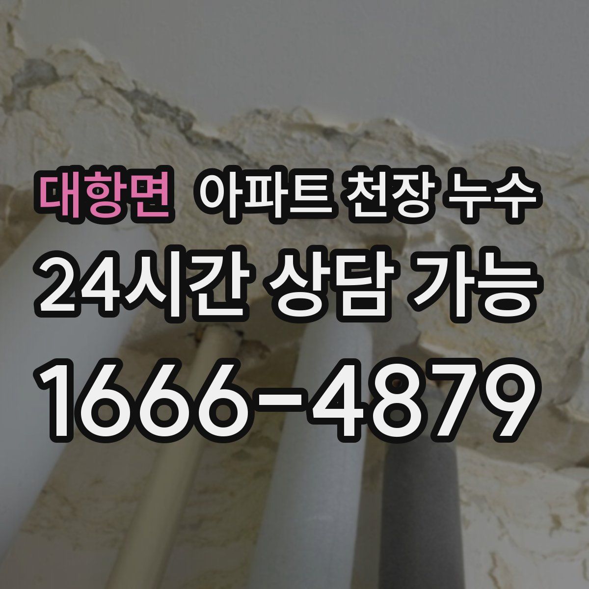 대항면 아파트 천장 누수