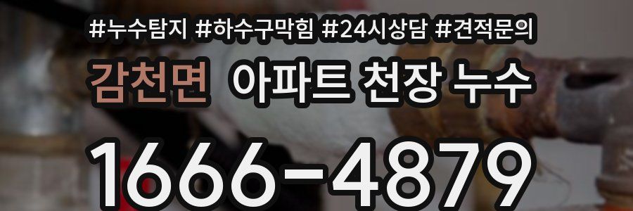 감천면 아파트 천장 누수