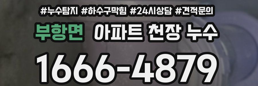 부항면 아파트 천장 누수