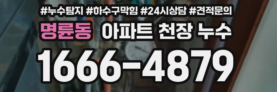 명륜동 아파트 천장 누수