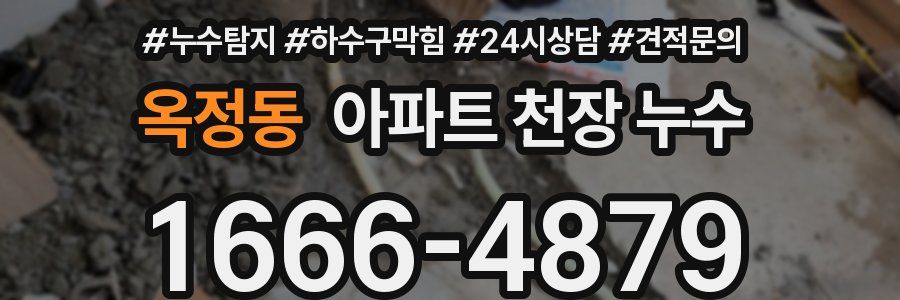 옥정동 아파트 천장 누수