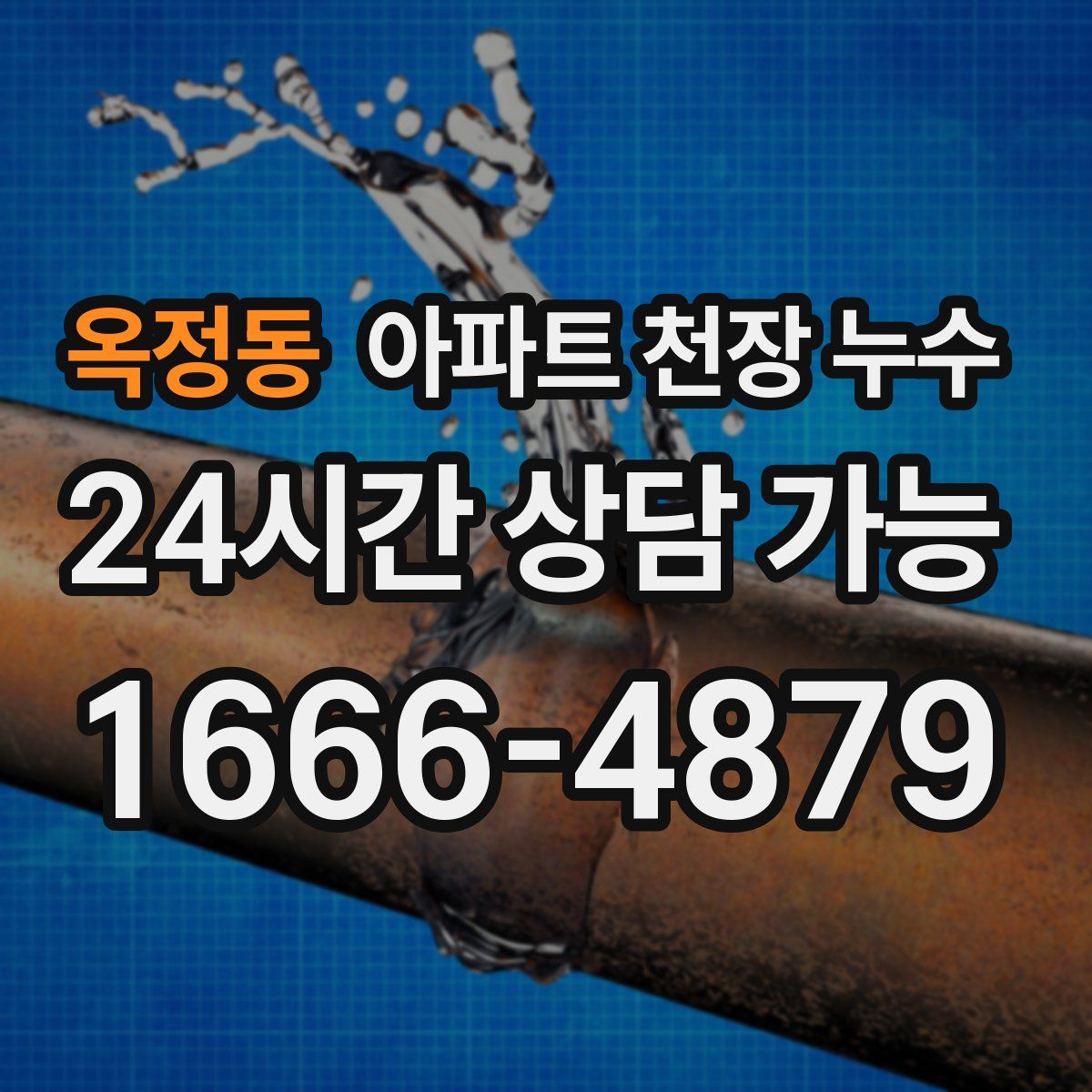 옥정동 아파트 천장 누수