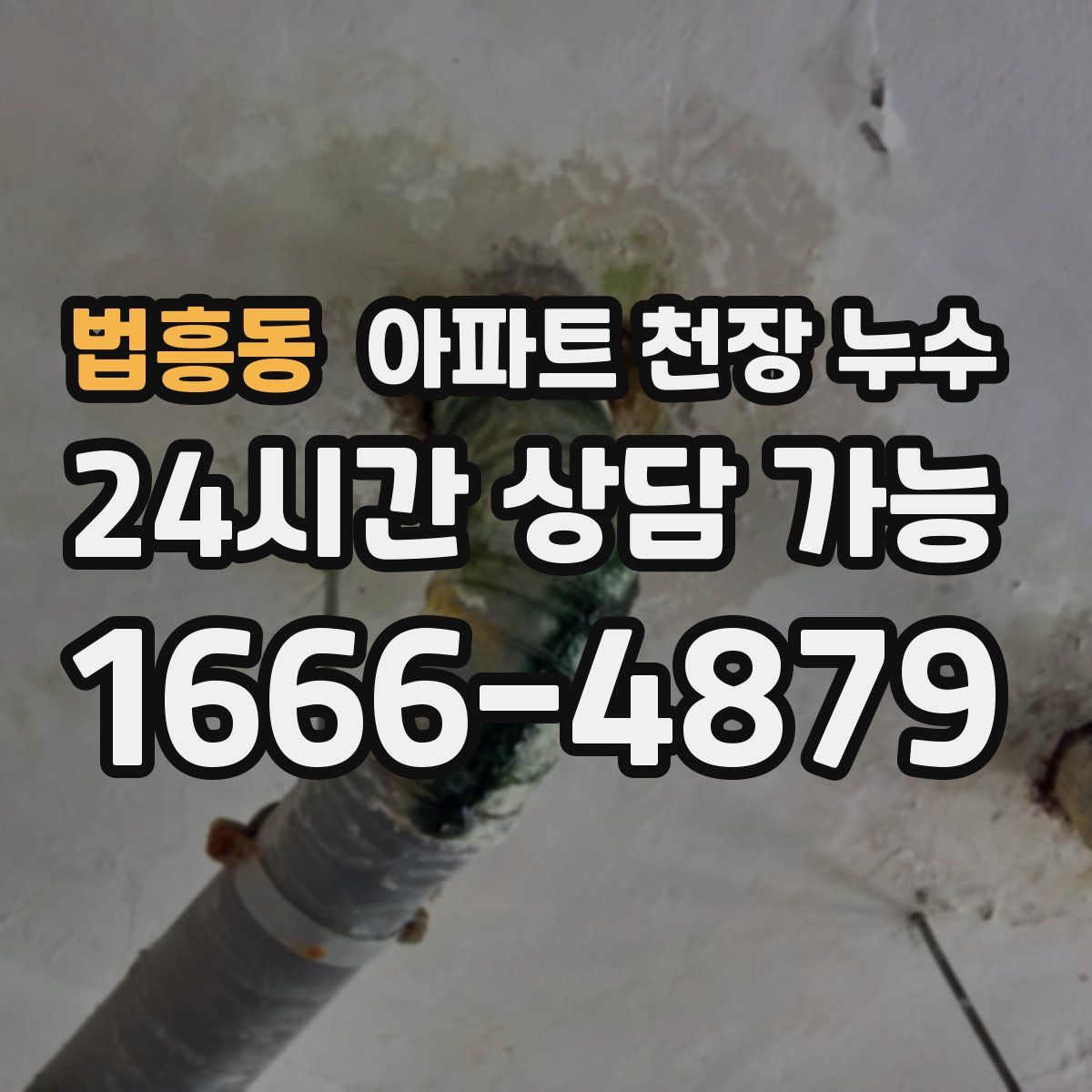 법흥동 아파트 천장 누수