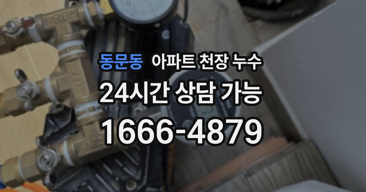 동문동 아파트 천장 누수