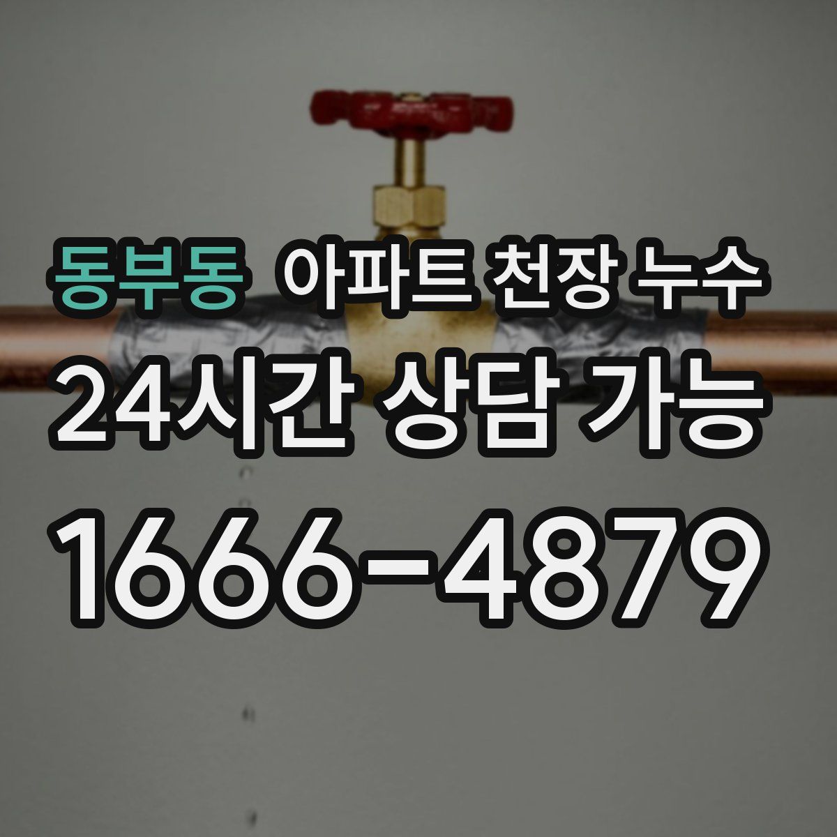 동부동 아파트 천장 누수