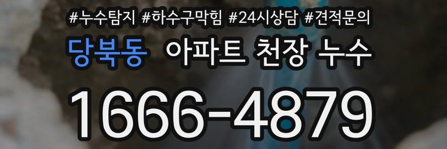 당북동 아파트 천장 누수