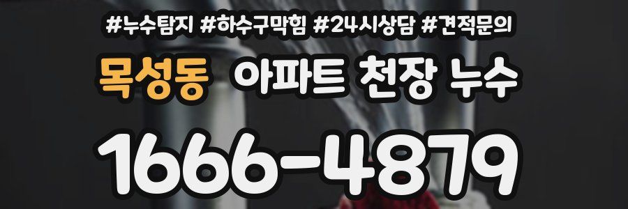 목성동 아파트 천장 누수