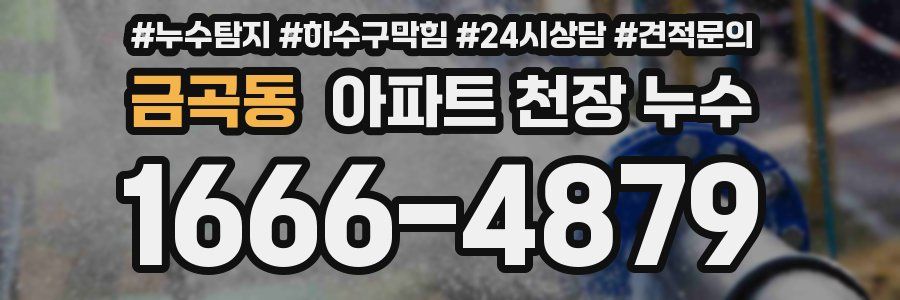 금곡동 아파트 천장 누수