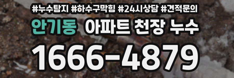 안기동 아파트 천장 누수