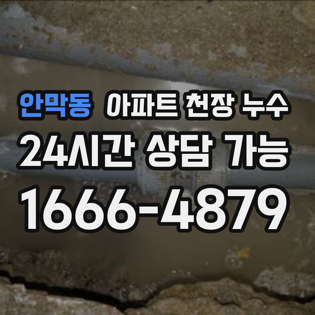 안막동 아파트 천장 누수
