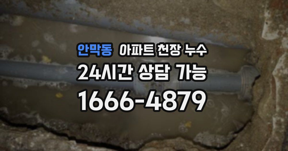 안막동 아파트 천장 누수