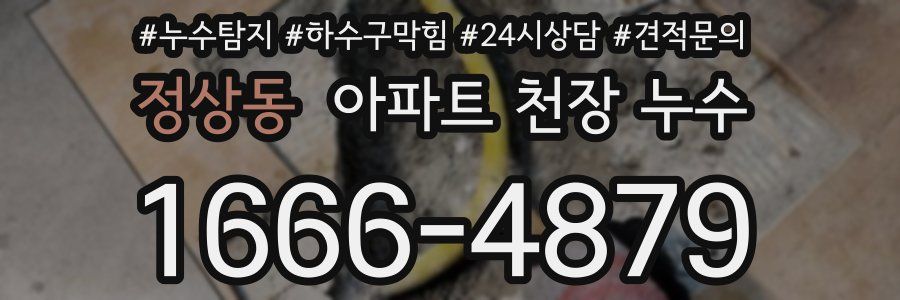 정상동 아파트 천장 누수