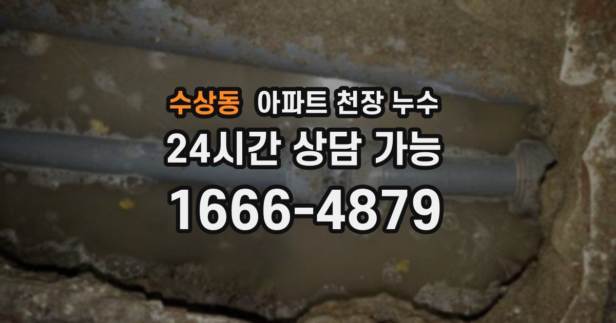 수상동 아파트 천장 누수