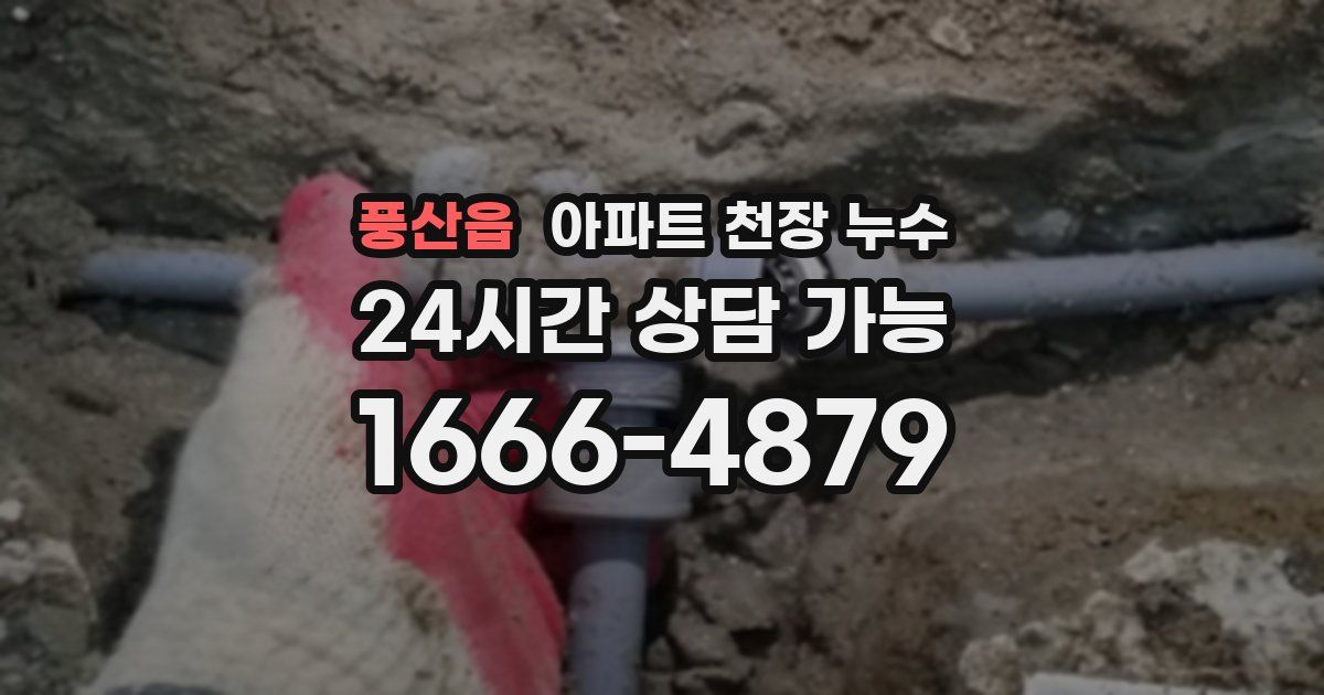 풍산읍 아파트 천장 누수