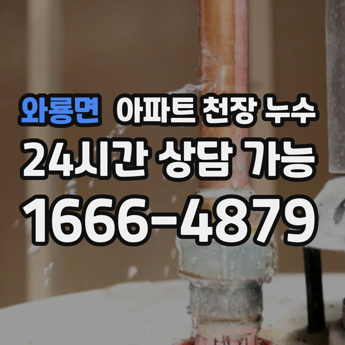 와룡면 아파트 천장 누수