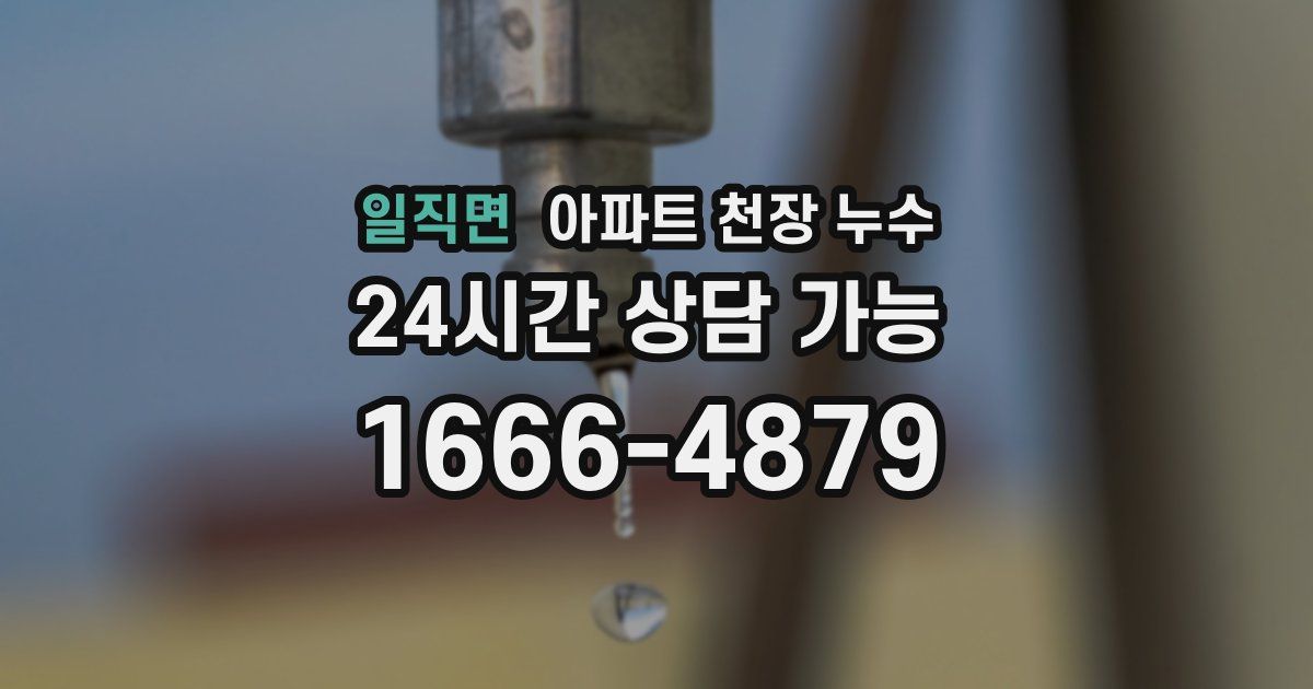 일직면 아파트 천장 누수