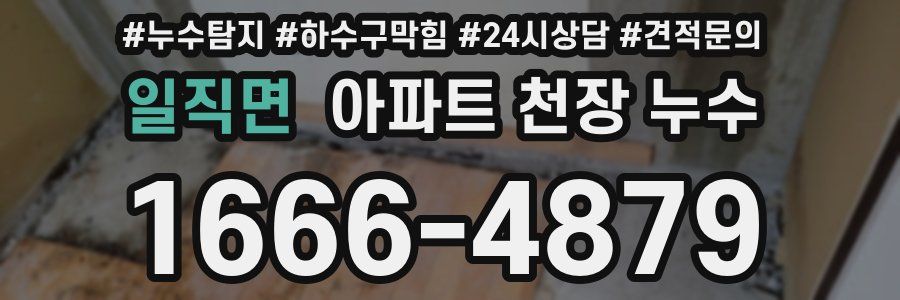 일직면 아파트 천장 누수