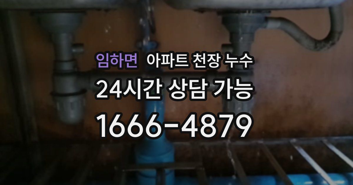 임하면 아파트 천장 누수