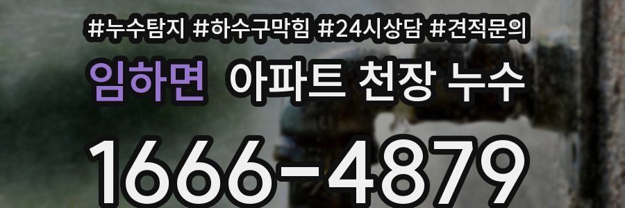 임하면 아파트 천장 누수
