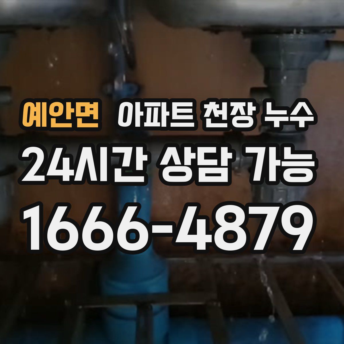 예안면 아파트 천장 누수