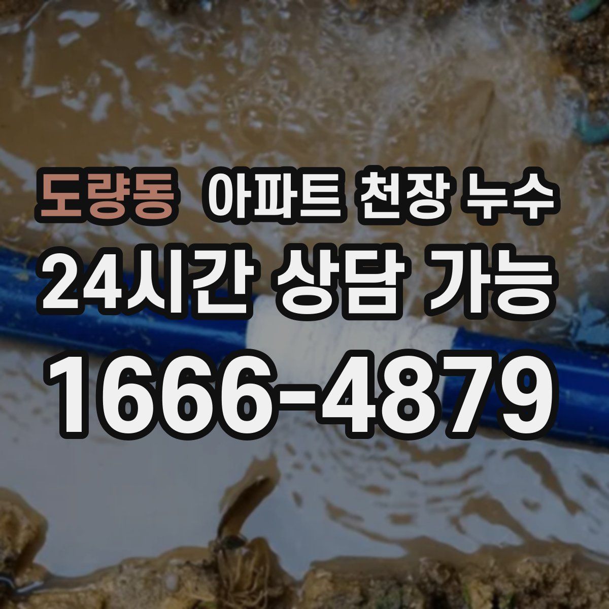 도량동 아파트 천장 누수