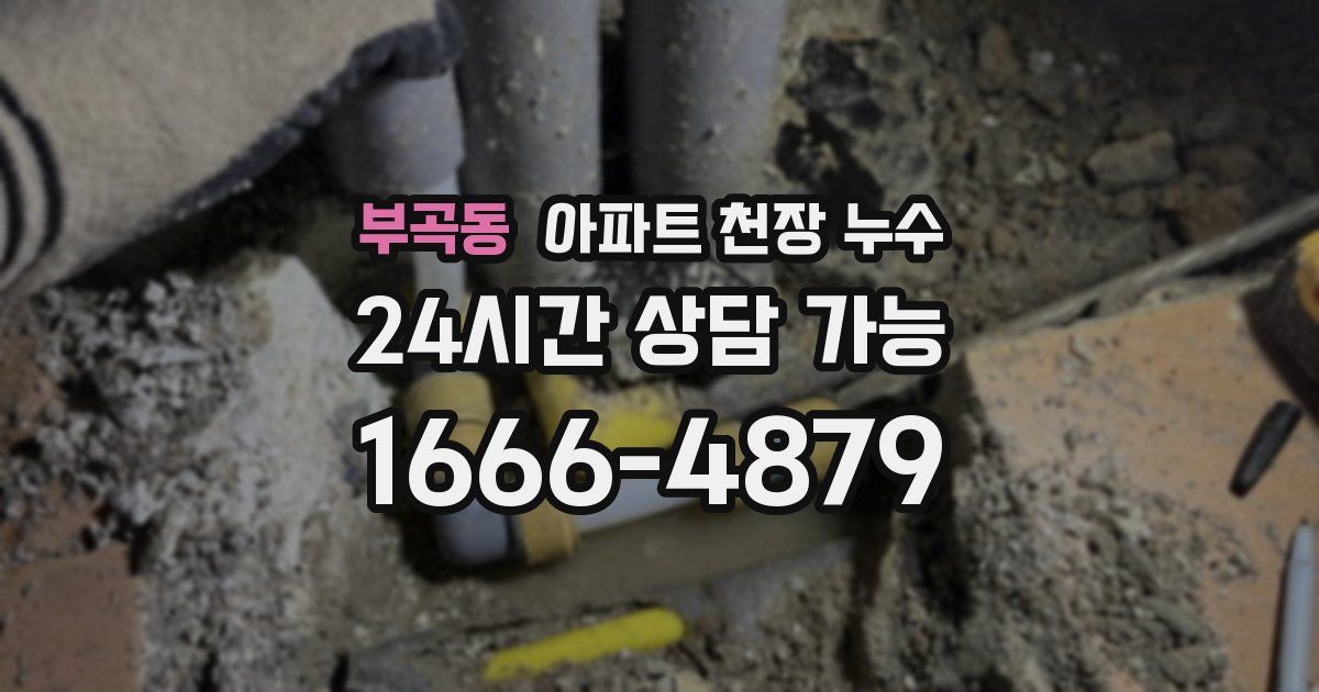 부곡동 아파트 천장 누수