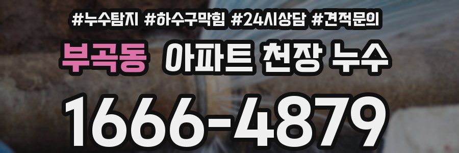 부곡동 아파트 천장 누수