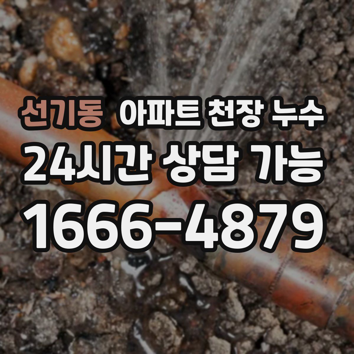 선기동 아파트 천장 누수