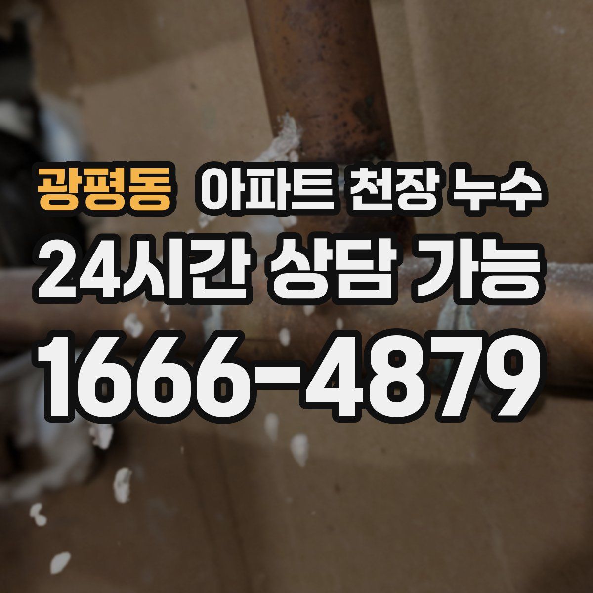 광평동 아파트 천장 누수
