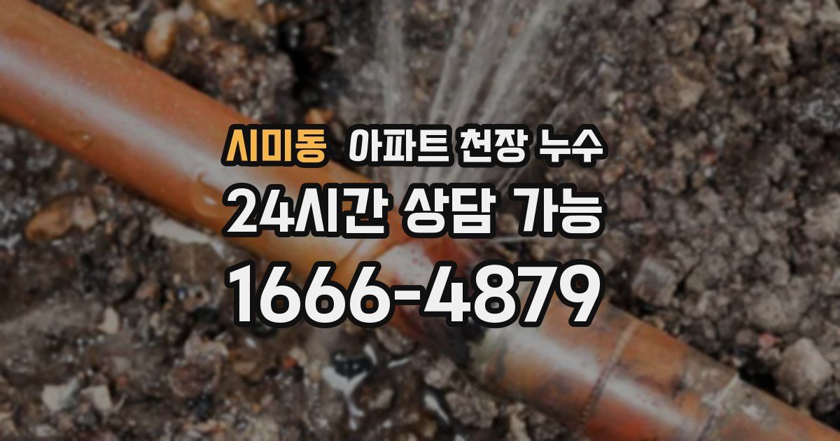 시미동 아파트 천장 누수