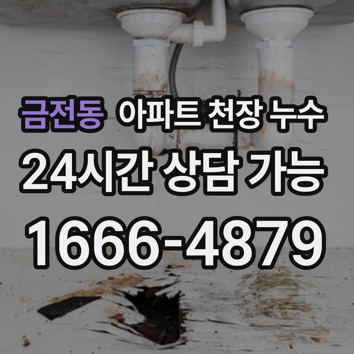 금전동 아파트 천장 누수