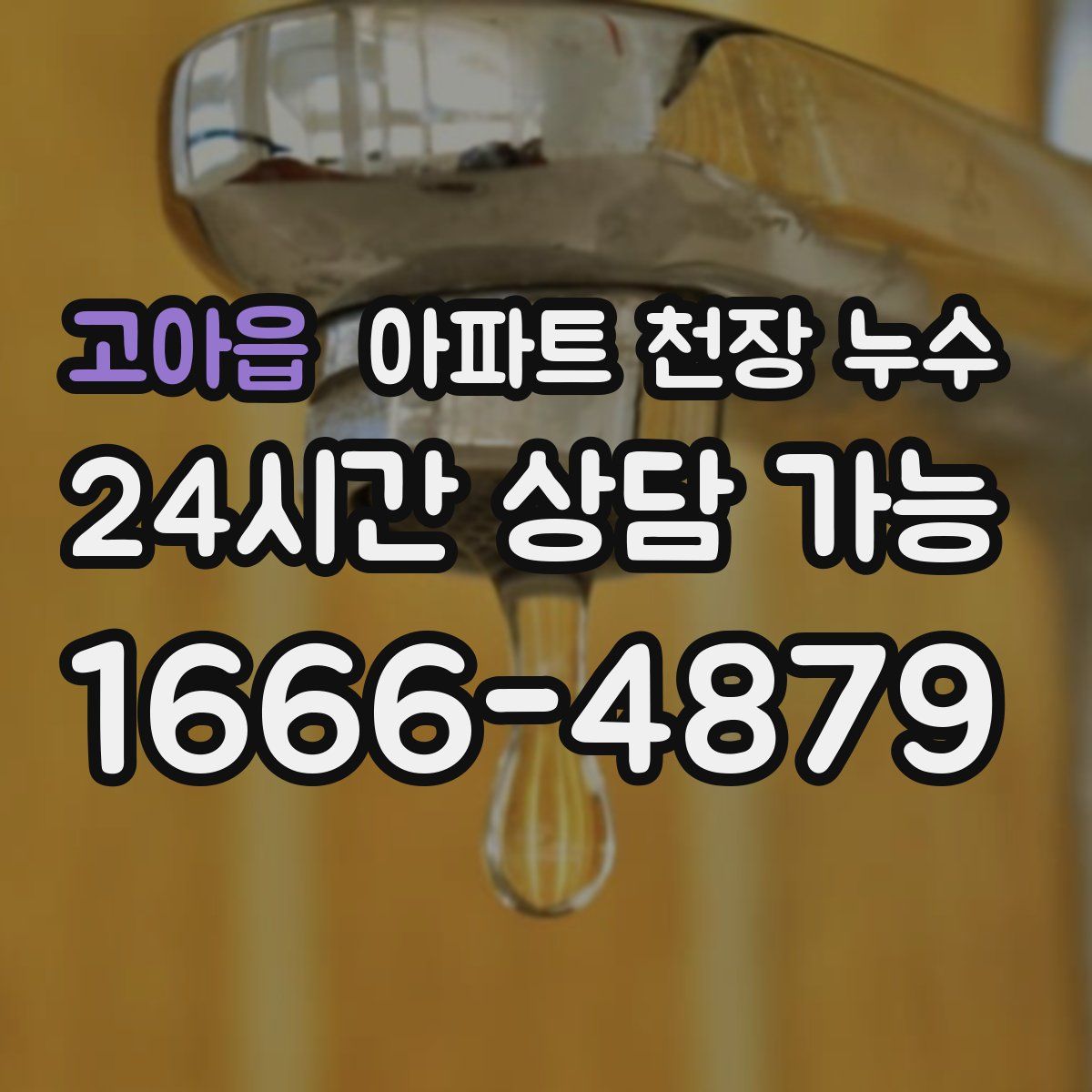 고아읍 아파트 천장 누수