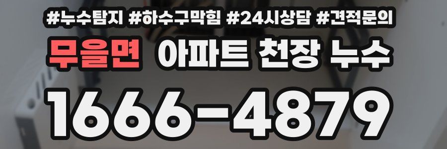무을면 아파트 천장 누수