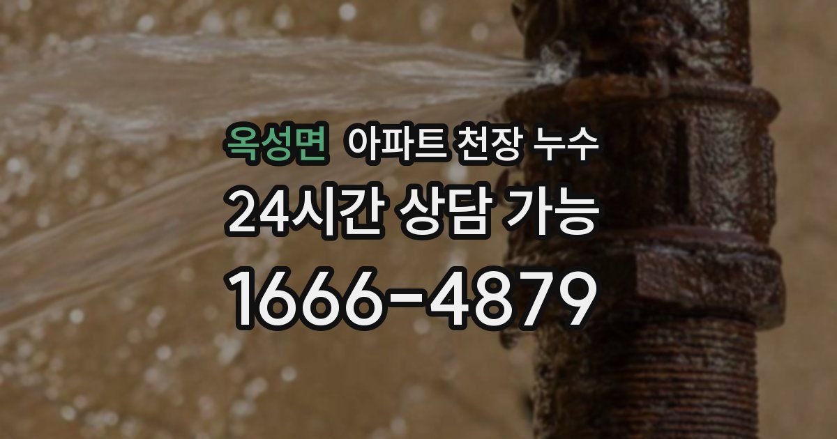 옥성면 아파트 천장 누수