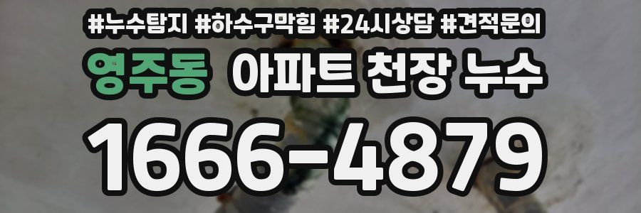 영주동 아파트 천장 누수