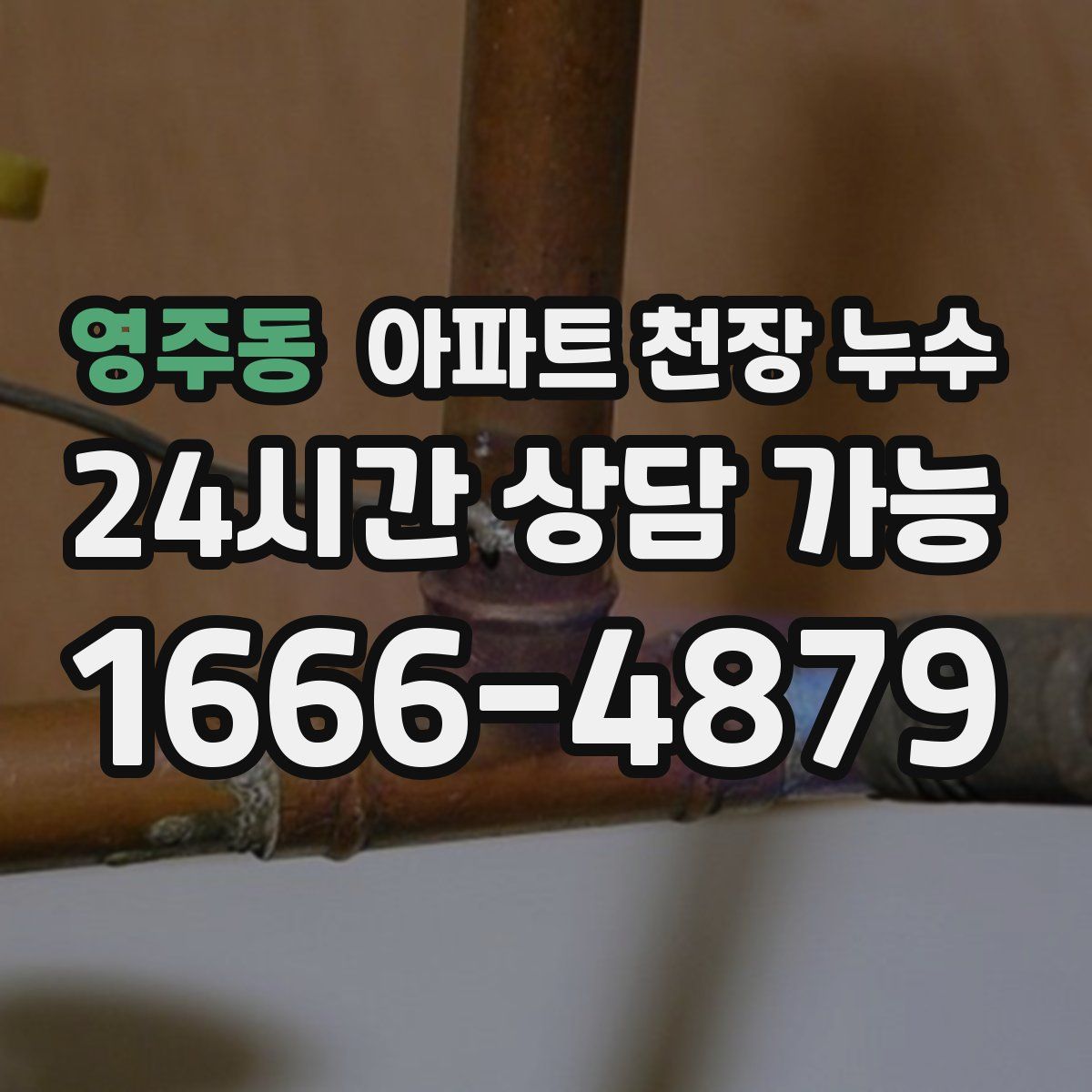 영주동 아파트 천장 누수