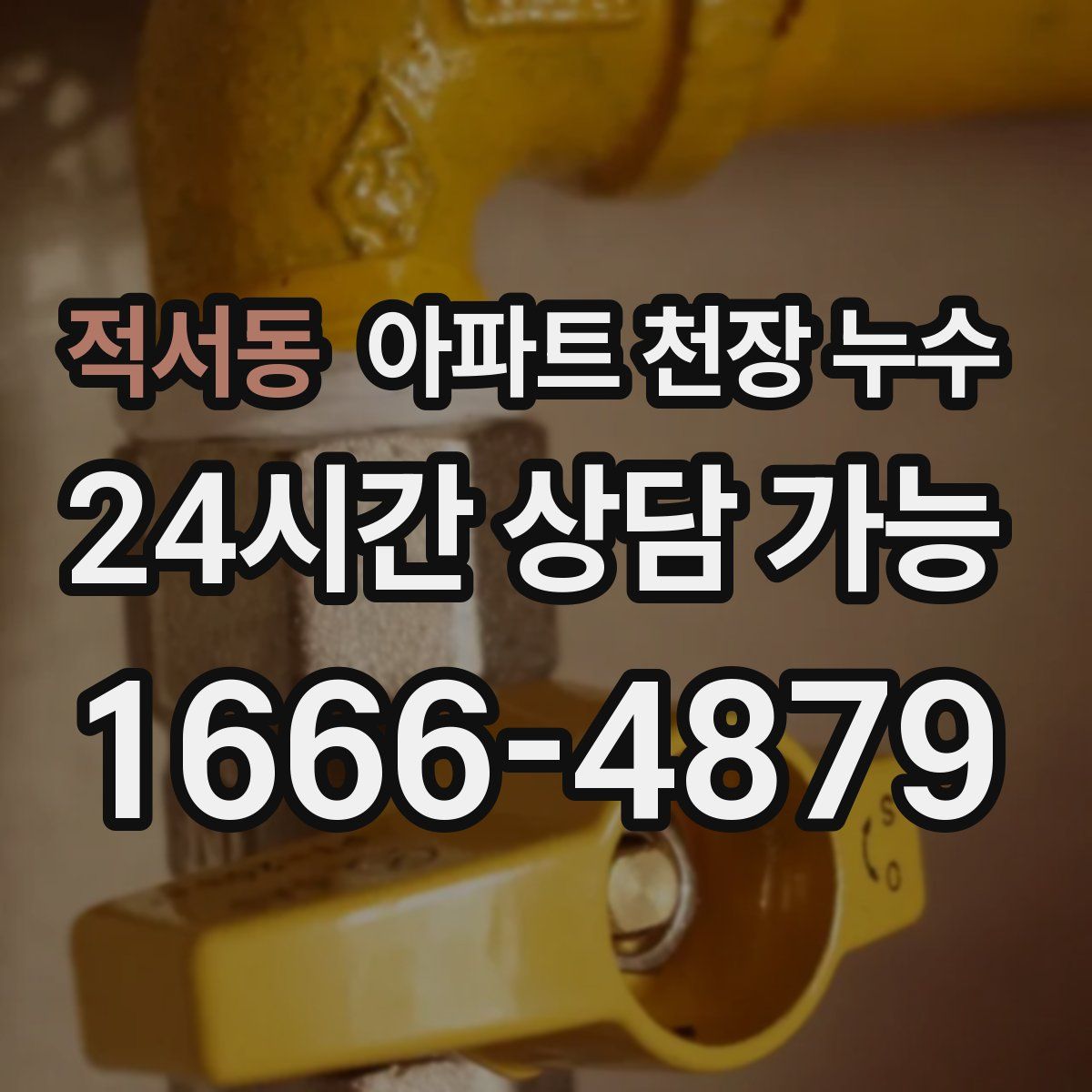 적서동 아파트 천장 누수