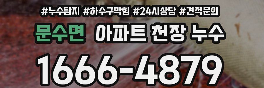 문수면 아파트 천장 누수