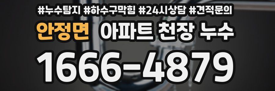안정면 아파트 천장 누수